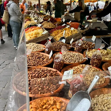 In Situ Uzès